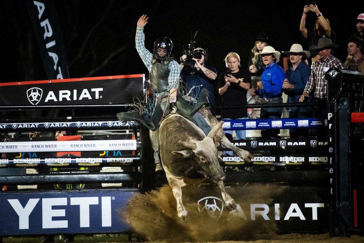 bull riding