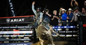 Southerners help NSW ride to glory in PBR Origin series