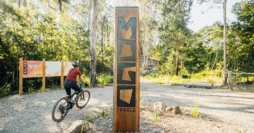 Mogo Trails complete, Eurobodalla cranks up for Sea Otter Australia event