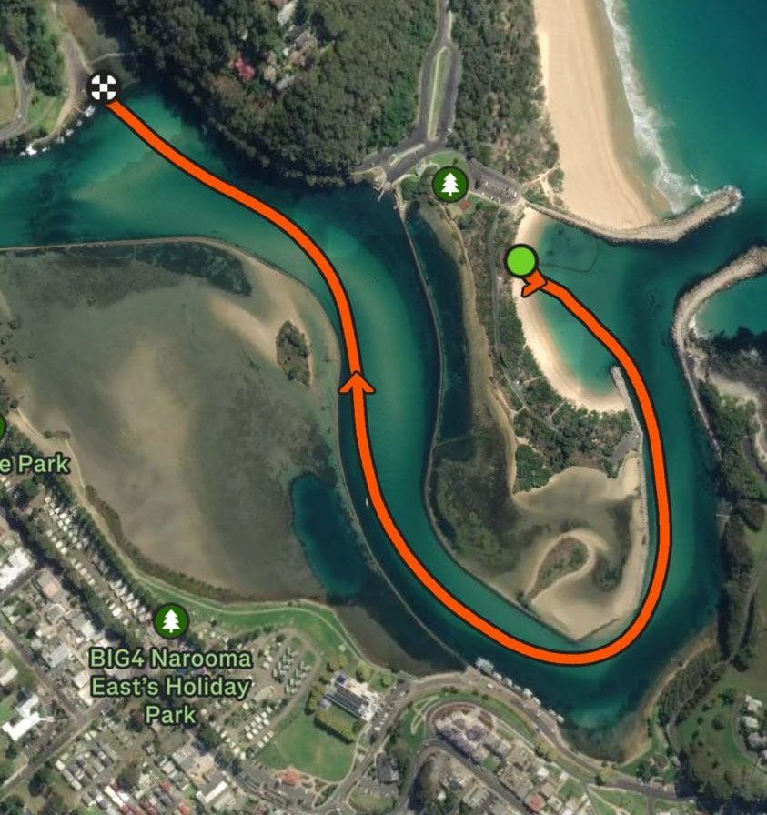 swimming course