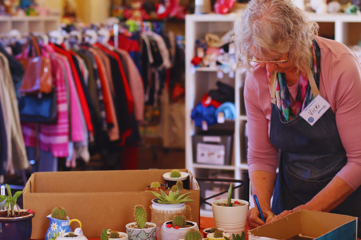Woman arranges pots with succulents in an op shop