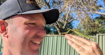 Wildlife Reimagined's Brendan Sheean explains the wonders of nature