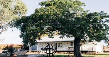 Barwang’s new cellar door a toast to heritage and renewal in the Hilltops