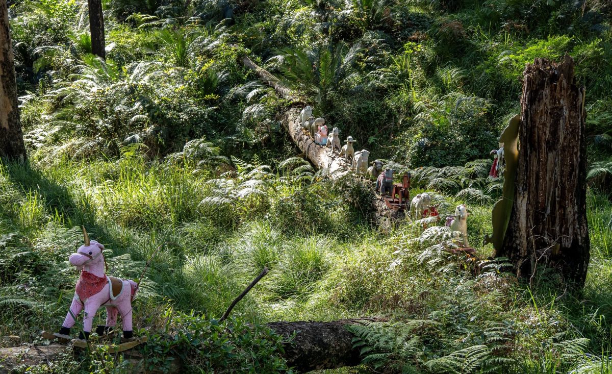 rocking horses in the forest