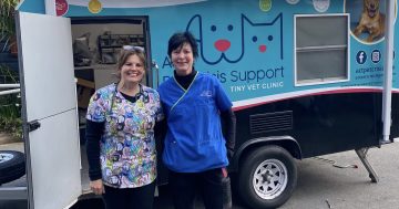 Mobile pet clinic searching for its own forever home