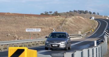 Cootamundra MP says bridge's 'band-aid solution' not good enough