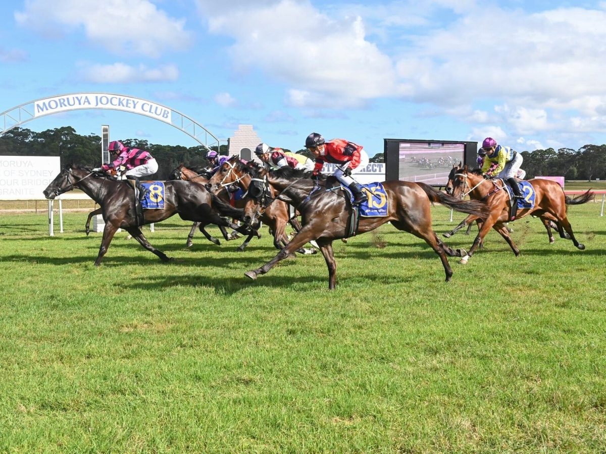tradies race day