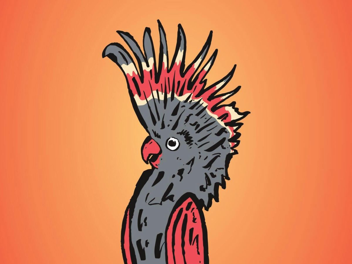 Melbourne International Comedy Festival Roadshow Queanbeyan