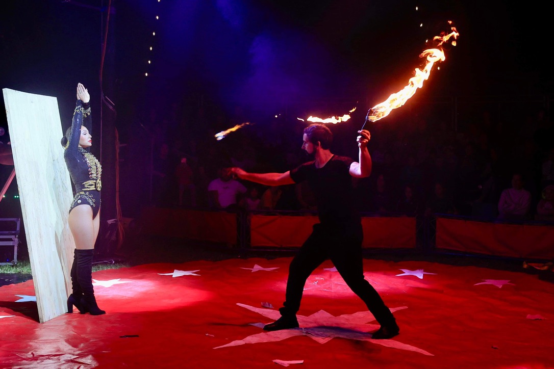 brophys circus