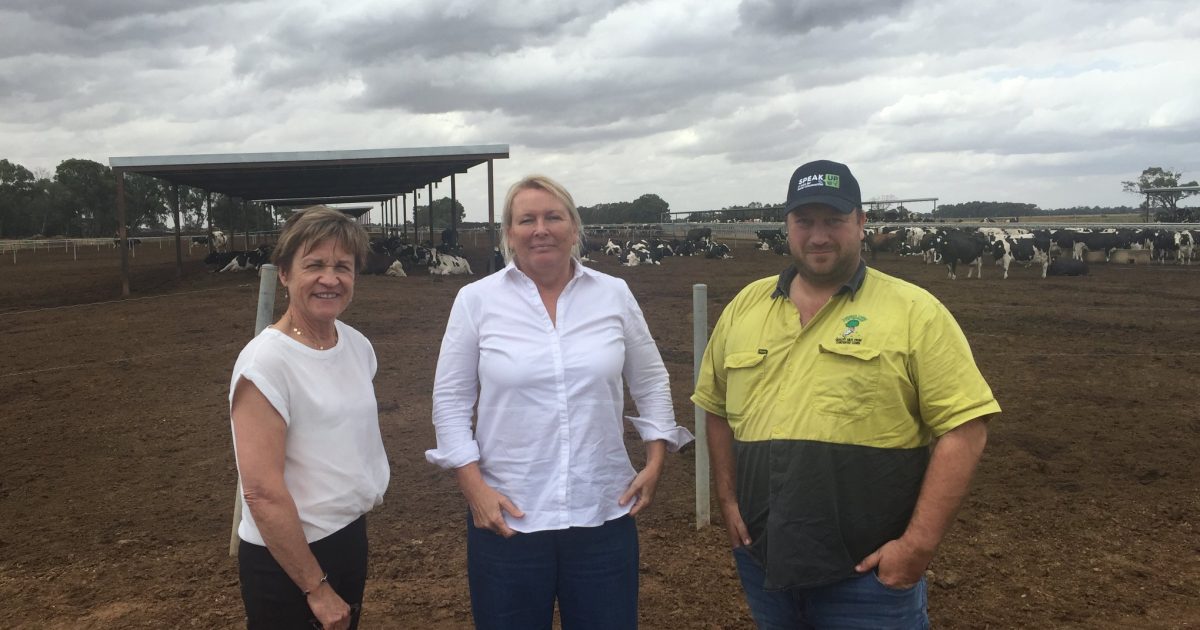 ‘Water is more expensive than milk’: Riverina dairy farmers warn industry faces wipeout