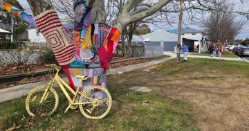 Yarn bomb goes off in Bungendore, bringing silly to the chilly season