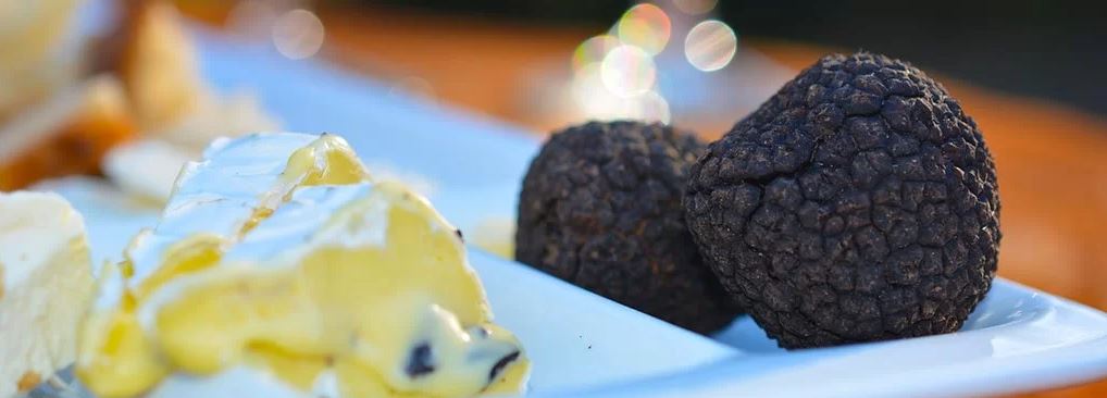 gulaga gold truffles