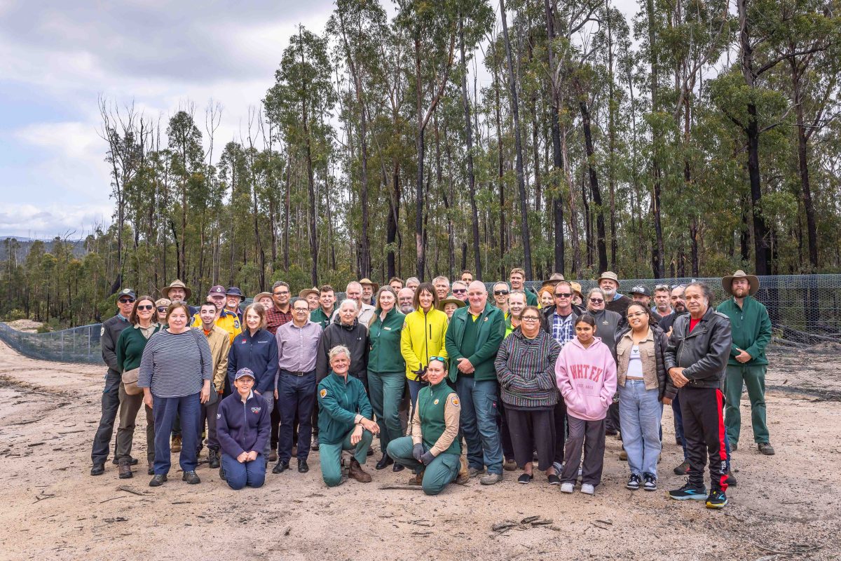The group at the opening of the Nungatta feral predator-free area in South-East Forest National Park.