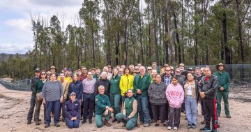 25-km feral-proof fence safeguards threatened species