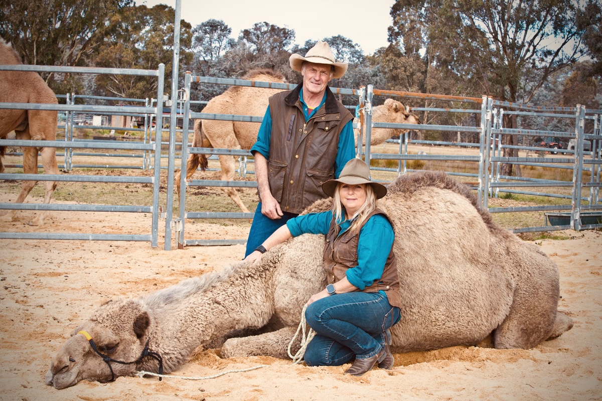 A man and a woman posing with a camel that's lying down
