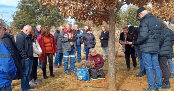 Established truffle farm, agritourism business put up for sale