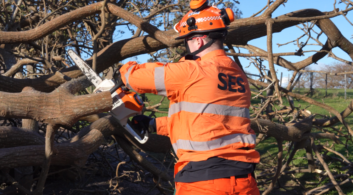 SES volunteer using a chainsaw