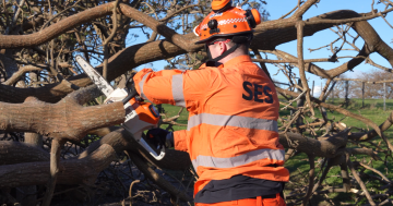 Communities urged to prepare with coastal low to 'drench and batter' South Coast and Illawarra