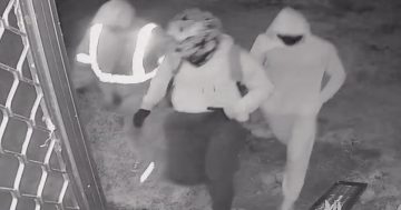 WATCH: Gun-wielding intruders sought over alleged Tumut home invasions
