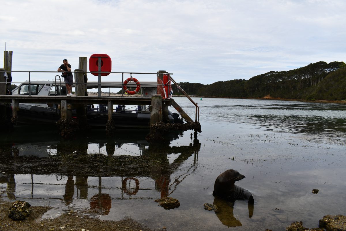 The research is showing that different parts of Wagonga Inlet are important to different people.