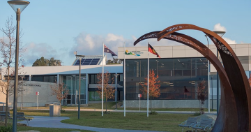 Public urged to have a say on first stage of council-led review of major Bega Valley planning document
