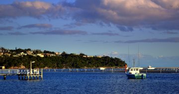 Green light for 25-room South Coast hotel plan with townhouses, rooftop pool