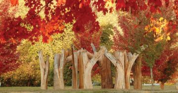 Snowy Valleys Sculpture Trail anchors a weekend of fine wines and feasting