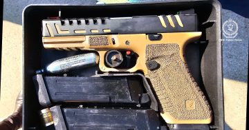 Police seize three rifles, eight gel blaster pistols and ecstasy capsules from Tumut home