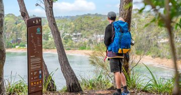 New interactive map for coastal walk puts region's beauty on display