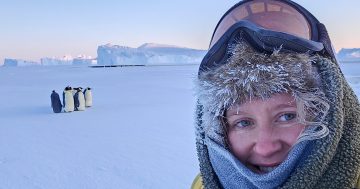 What's it like living in Antarctica? This Batemans Bay woman can tell you