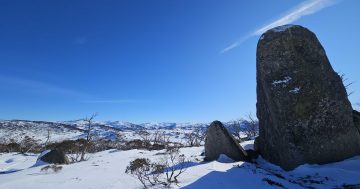 'We're back': New dawn for mountain businesses, resorts, but season's not over yet