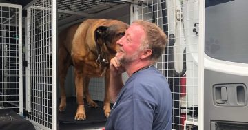 Canberra pet ambulance hangs up the keys after 19 years helping our animal friends