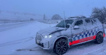 7 charged in police operation in the Snowy Mountains over the weekend