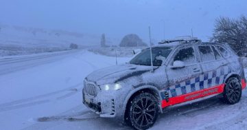 7 charged in police operation in the Snowy Mountains over the weekend