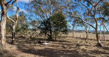 Stock reserve closed temporarily after potentially toxic material dumped illegally