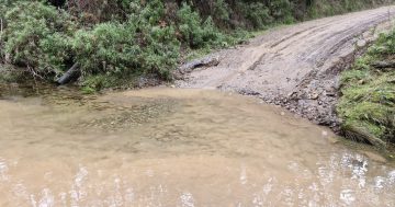 Delays to Dignams Creek Boundary Bridge replacement cost residents heavily