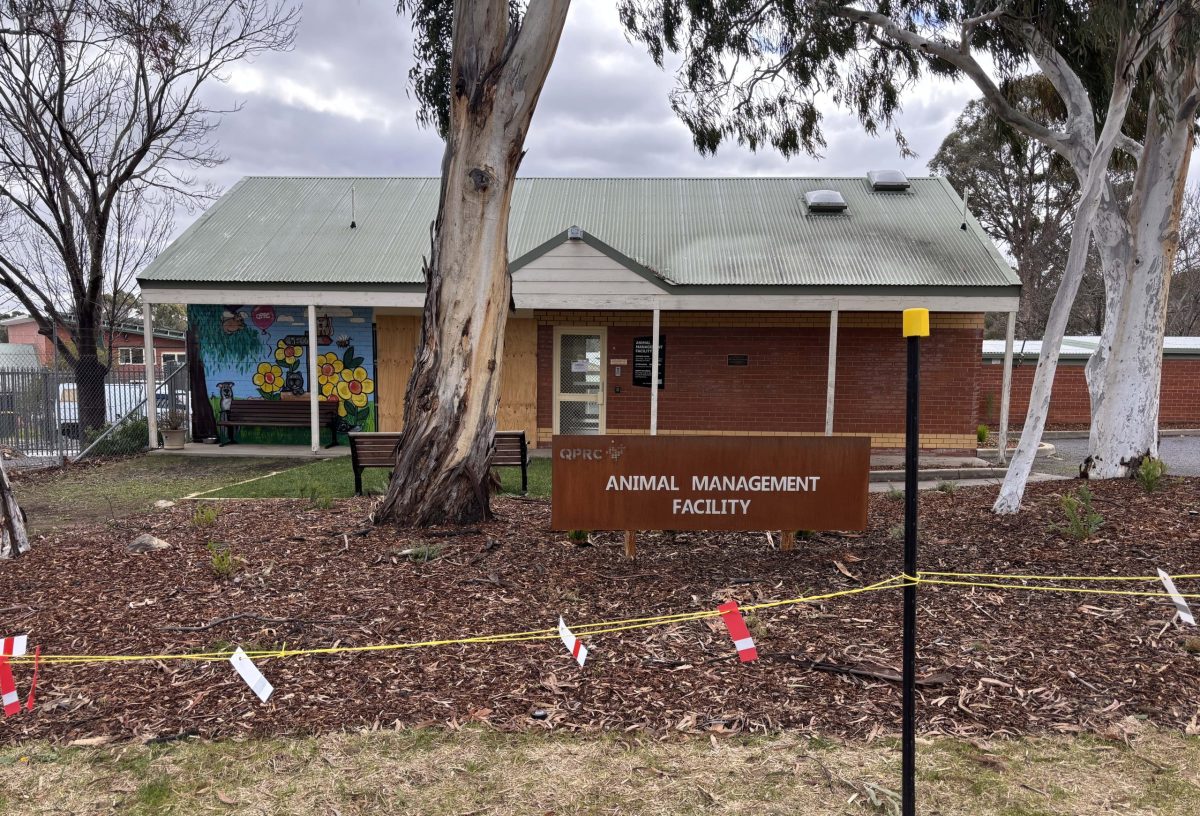 The outside of the Queanbeyan pound in early July 2025