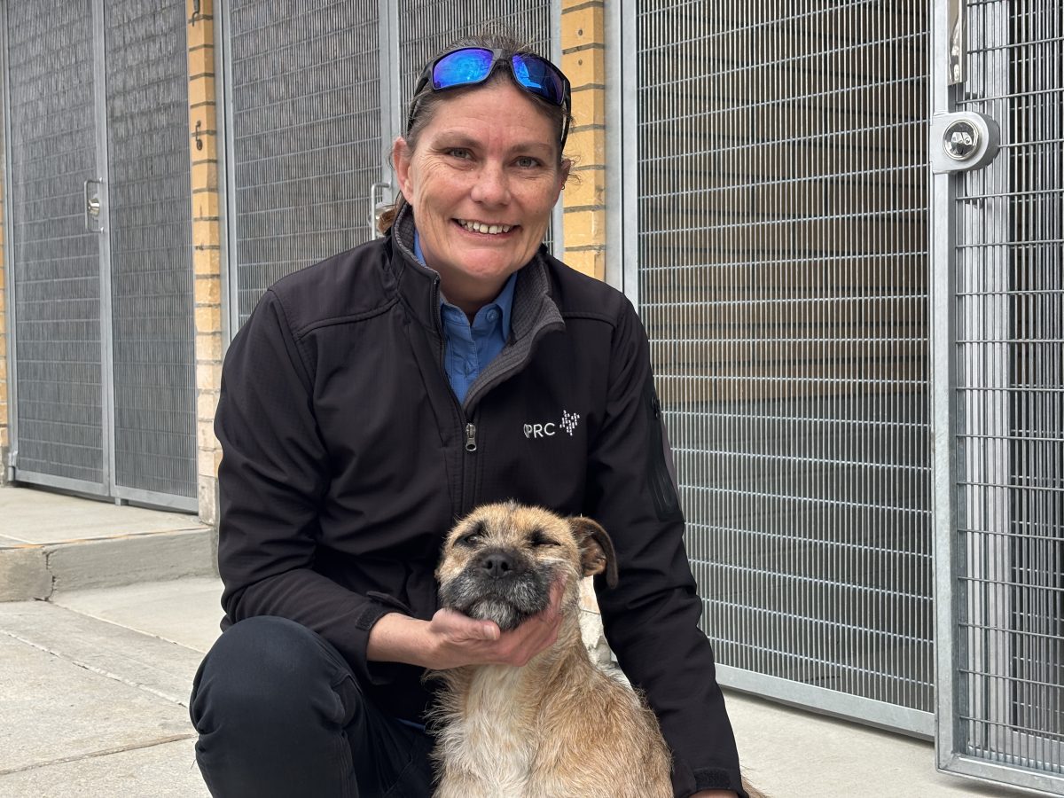 Mel Corey says the public can be confident that new protective measures at the Queanbeyan pound will keep pooches safe.