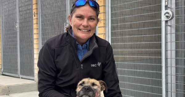 'Last piece of the puzzle': Queanbeyan pound to reopen after months-long closure