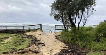 Rain eases but wind remains as storm clean up begins