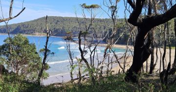 'Extensive' storm damage closes popular South Coast walk
