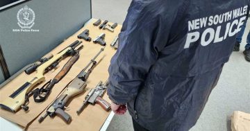 Police investigating homemade 3D printed guns arrest two men across South East