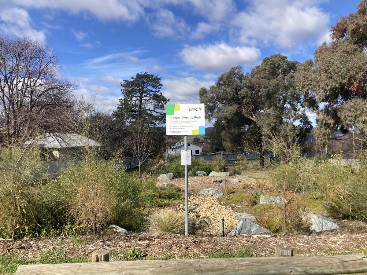 The micro-forest at Blackall Avenue Park in Queanbeyan