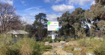 Roots for Queanbeyan's new green space grow as support pledged