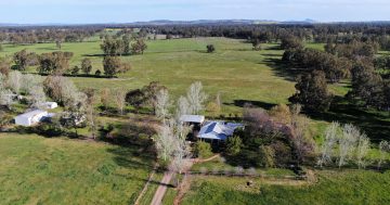 Riverina woman in court battle to replace her son as administrator of ex-husband’s will