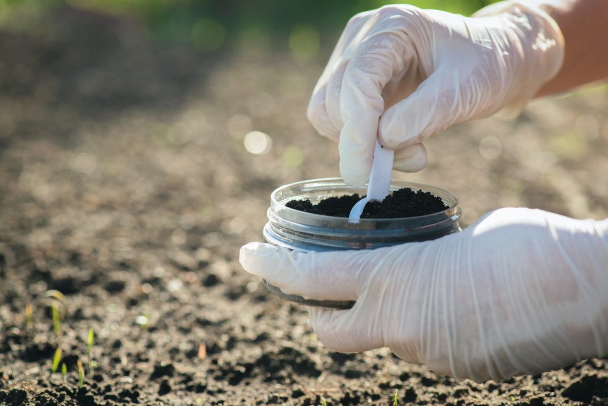 person with gloves on sticking a spoon into a container of soil