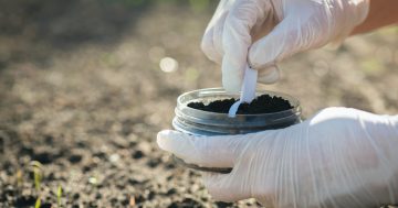 UPDATED: Two-week testing for 'forever chemicals' in South Coast soils