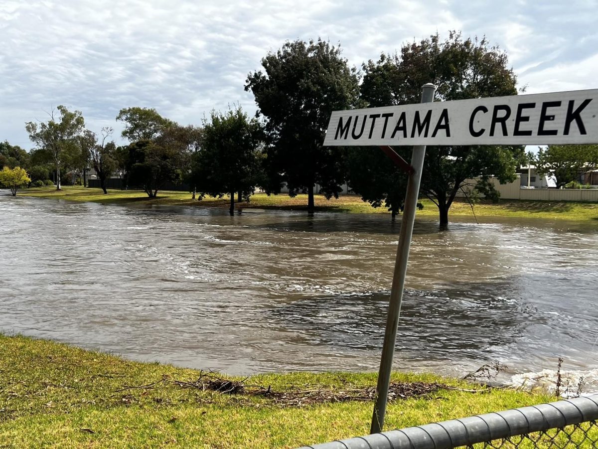 Muttama Creek in flood
