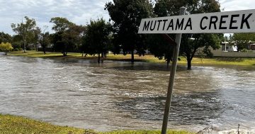 After the floods, CGRC charts a new course for Muttama Creek