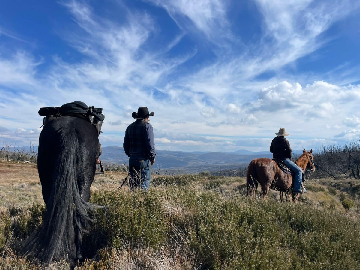Two men on horseback in the mountains.